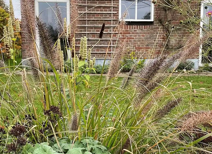 Verblijf 291768 - Vakantiewoning Achterhoek - Vakantiehuisje Het Poggenschot