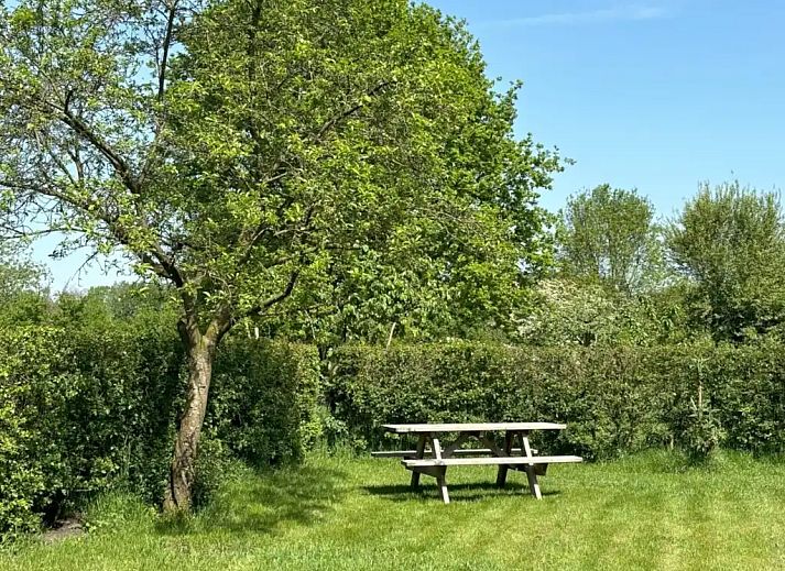 Verblijf 291769 - Vakantiewoning Achterhoek - De Welpshof - Aan de Boomgaard