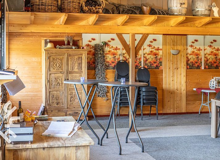 Outdoor play area at DG168 vacation home, Aalten, with trampoline and play equipment.