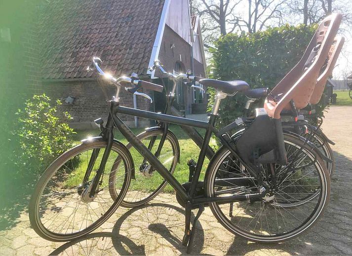 Green surroundings around vacation home DG529 in Aalten, Achterhoek, Gelderland.