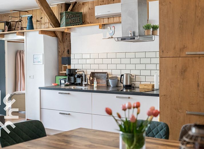 Chickens scratch in the garden of vacation home DG529 in Aalten, Achterhoek.