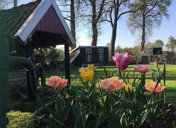 Comfortable bedroom in vacation home DG529 in Aalten, Achterhoek, with wooden beams.