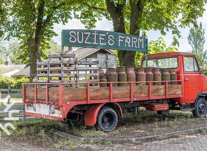 Green surroundings around vacation home DG1024 in Aalten, Achterhoek, ideal for nature lovers.