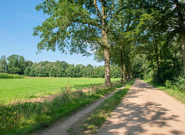 Unterkunft 291786 - Ferienhaus Achterhoek - Vakantiehuisje in Aalten