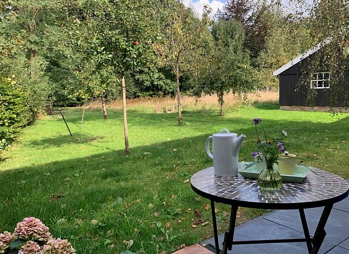 Verblijf 291789 - Vakantiewoning Achterhoek - Huisje in Aalten