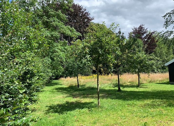 Verblijf 291789 - Vakantiewoning Achterhoek - Huisje in Aalten