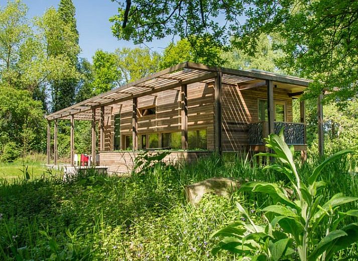 Huisje in Aalten, een charmant vakantiehuis in de groene natuur van Aalten, Achterhoek, Gelderland, met een uitnodigend terras.