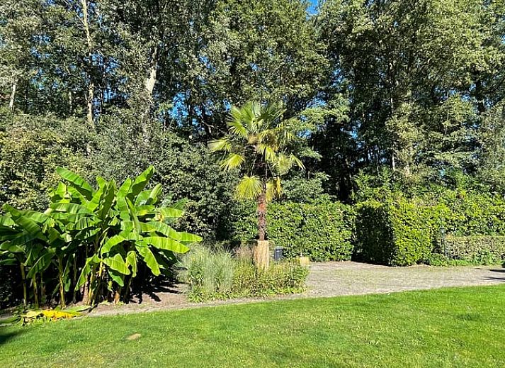 Unterkunft 291793 - Ferienhaus Achterhoek - Vakantiehuisje in Aalten