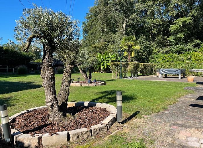 Unterkunft 291793 - Ferienhaus Achterhoek - Vakantiehuisje in Aalten