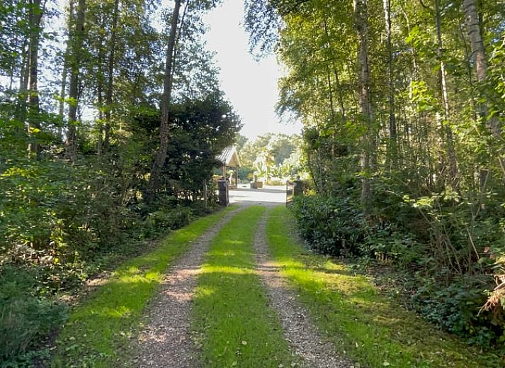 Unterkunft 291793 - Ferienhaus Achterhoek - Vakantiehuisje in Aalten