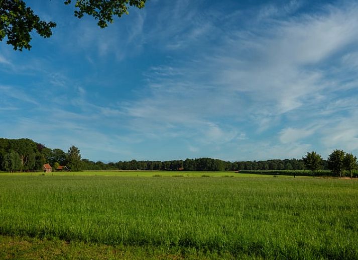 Gemuetliche Kuechenzeile in Huisje in Laren, Ferienhaus in Laren, umgeben von der Natur der Achterhoek.