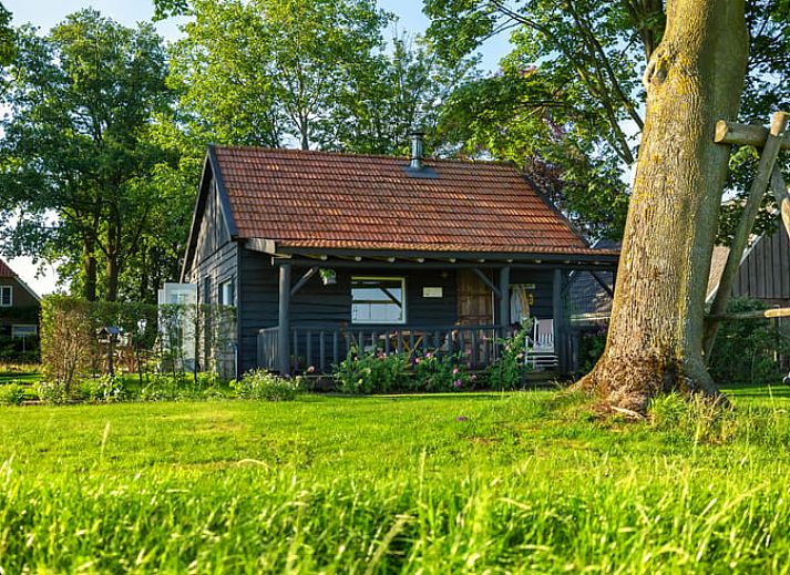 Gemuetliche Kuechenzeile in Huisje in Laren, Ferienhaus in Laren, umgeben von der Natur der Achterhoek.