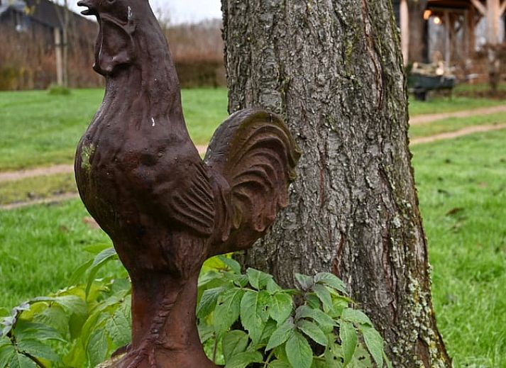 Guest house 291820 - Holiday property Achterhoek - Huisje in Laren