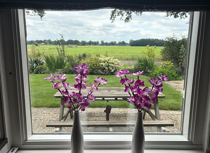 Comfortabele woonkamer in Huisje in Laren, Achterhoek met moderne inrichting en gezellige zithoek.