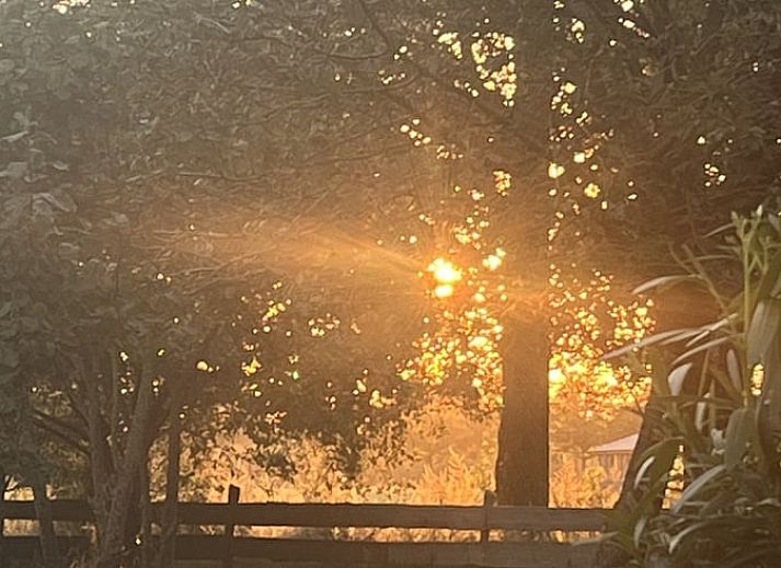Gemuetliches Schlafzimmer im Cottage in Laren, Achterhoek, Gelderland mit Holzdecke und bequemem Bett fuer einen erholsamen Aufenthalt.