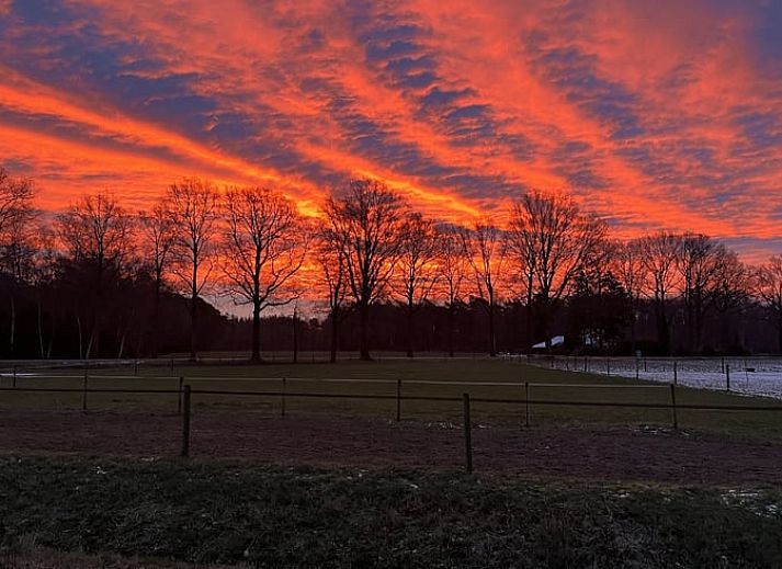 Gemuetliches Schlafzimmer im Cottage in Laren, Achterhoek, Gelderland mit Holzdecke und bequemem Bett fuer einen erholsamen Aufenthalt.