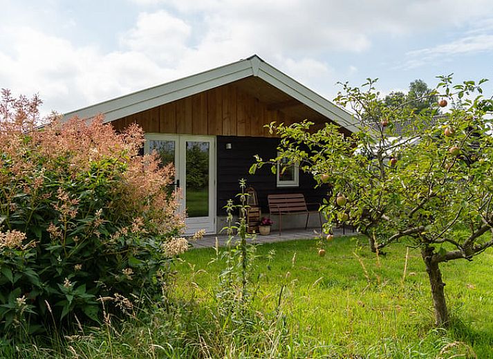 Das Ferienhaus in Laren bietet eine idyllische Aussicht auf die umliegende Landschaft in Achterhoek, Gelderland.