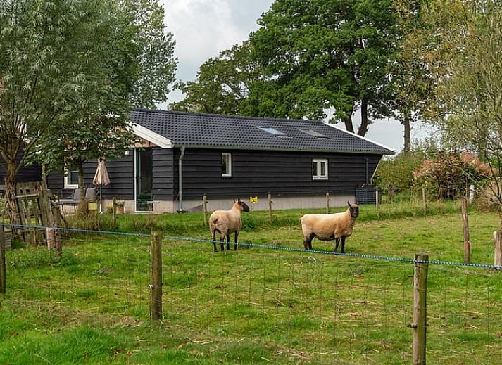 Schlafzimmer des Ferienhauses in Laren mit bequemen Betten, ideal fuer einen erholsamen Aufenthalt in Achterhoek, Gelderland.
