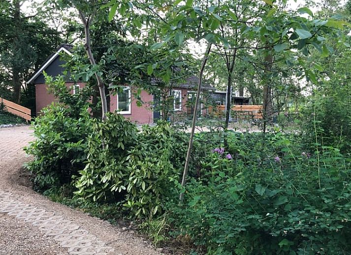 Guest house 291905 - Holiday property Achterhoek - Huisje in Vragender