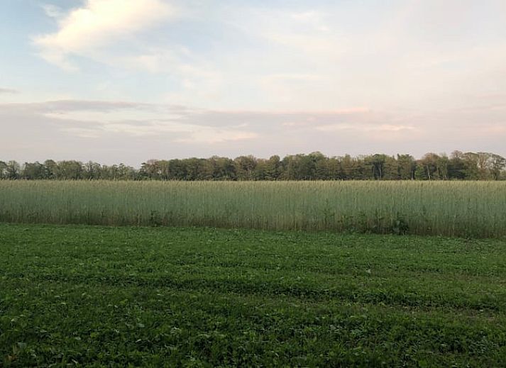 Guest house 291905 - Holiday property Achterhoek - Huisje in Vragender