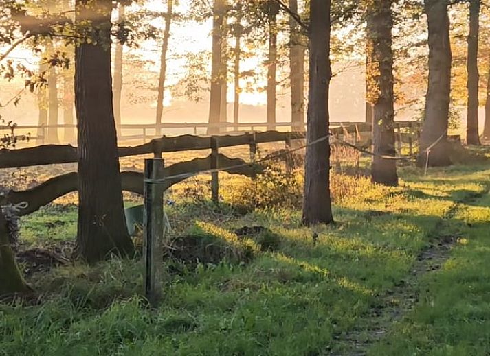 Stylish interior with mirror in Holiday home in Vragender, Achterhoek, Gelderland. Modern and bright interior.