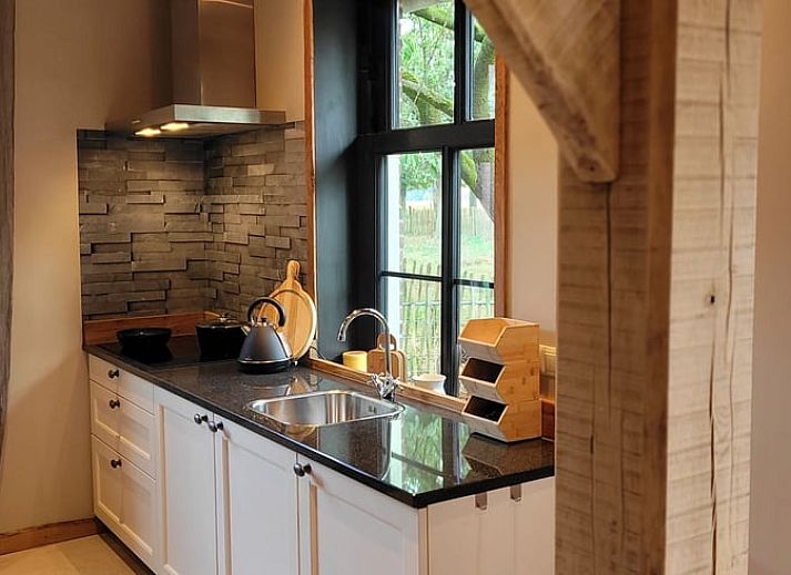 Aussenansicht des Ferienhauses in Vragender, Achterhoek, mit schoener Terrasse und gruener Umgebung.