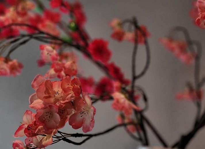 Einzigartige Sitzecke mit Haengesessel und Kamin im Ferienhaus in Vragender, Achterhoek, Gelderland.