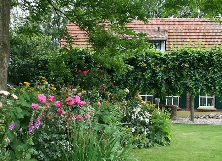 Gezellig terras bij Vakantiehuis in Groenlo met uitzicht op de natuur in Achterhoek, Gelderland.
