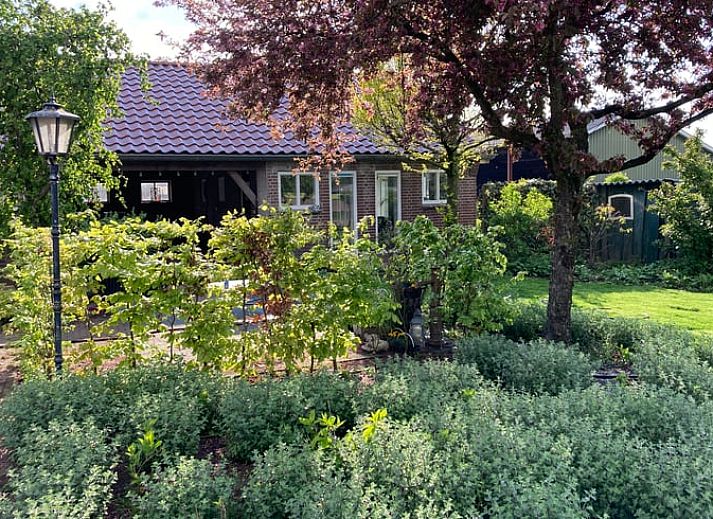 Gemuetlicher Garten mit Terrasse im Ferienhaus in Groenlo, Achterhoek, Gelderland.