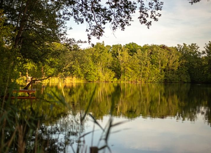 Gezellige veranda bij Vakantiehuis in Groenlo, omringd door natuur in de Achterhoek, Gelderland.