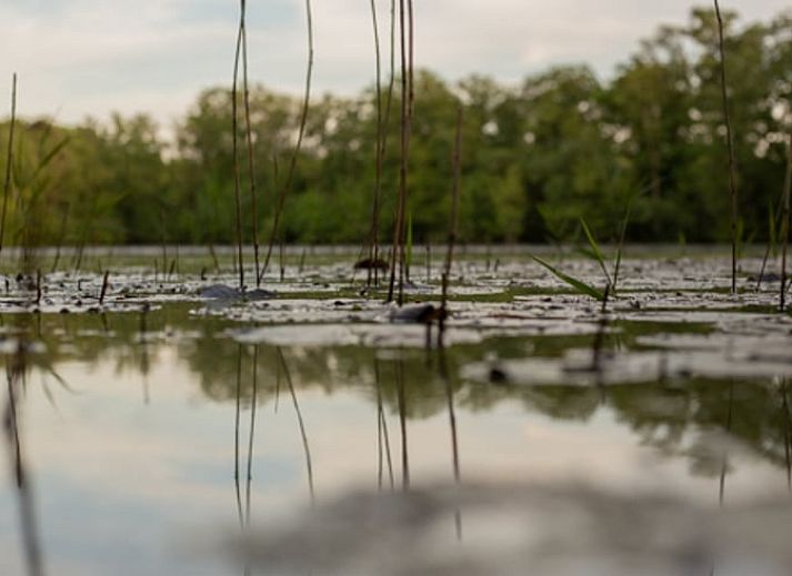 Rustiek uitzicht op het meer bij Vakantiehuis in Groenlo, gelegen in de groene Achterhoek, Gelderland.