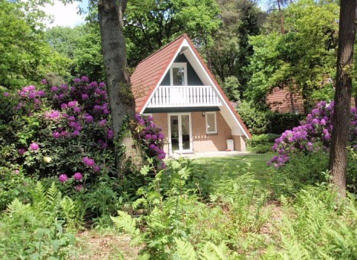 Verblijf 292103 • Vakantiewoning Achterhoek • Motief