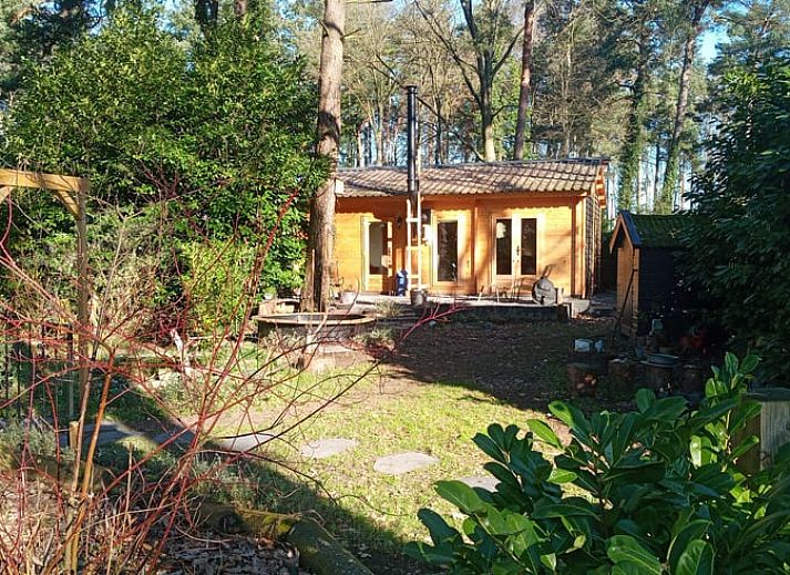 Modern kitchen in Cottage in Lochem, ideal for cooking in the Achterhoek.