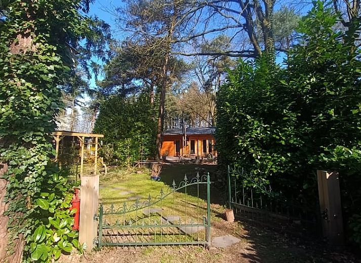 Outdoor barbecue at cottage in Lochem, perfect for grilling in the Achterhoek.