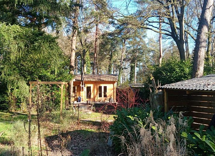 Outdoor barbecue at cottage in Lochem, perfect for grilling in the Achterhoek.