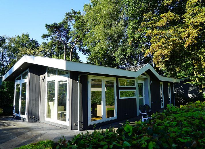 Hackfort Sauna 6 Ferienhaus in Lochem, Achterhoek, umgeben von gruener Natur und sonniger Terrasse, perfekt fuer Entspannung in Gelderland.
