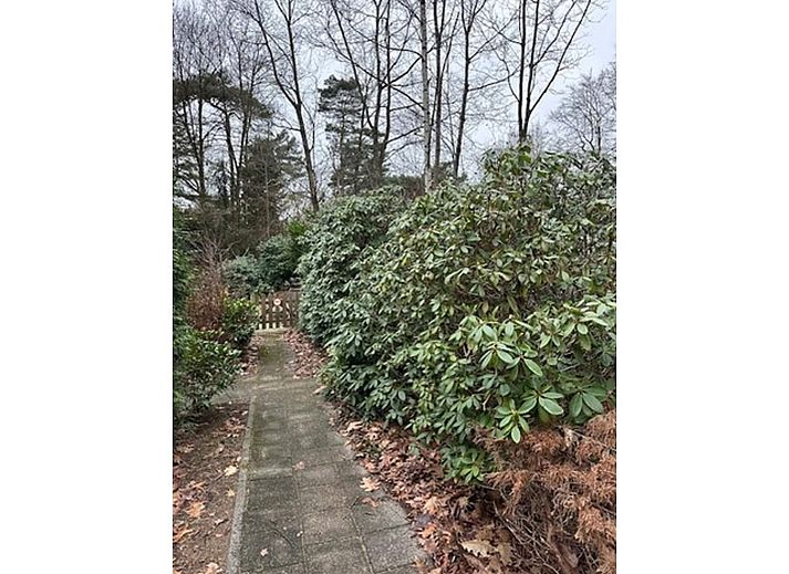 Verblijf 2921145 - Vakantiewoning Achterhoek - BOSRIJK