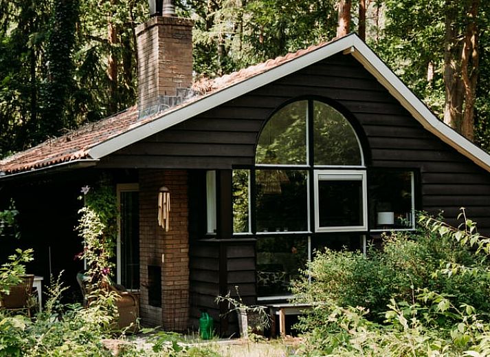 Charmant vakantiehuis in Lochem, Achterhoek, omgeven door groen en rust.