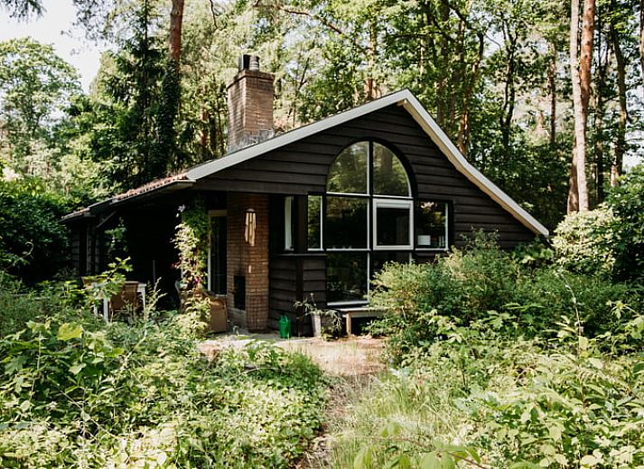 Boekenkast in vakantiehuis in Lochem, perfect voor ontspanning in de Achterhoek.