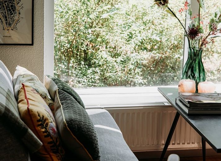 Boekenkast in vakantiehuis in Lochem, perfect voor ontspanning in de Achterhoek.