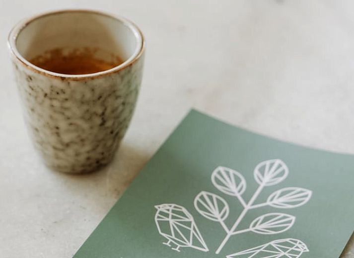 Reflectie van de natuur in de ramen van vakantiehuis in Lochem, Achterhoek.