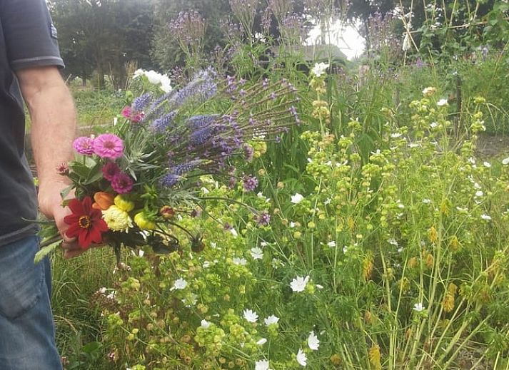 Side view of Cottage in Lochem with authentic bricks and cozy terrace in Gelderland.