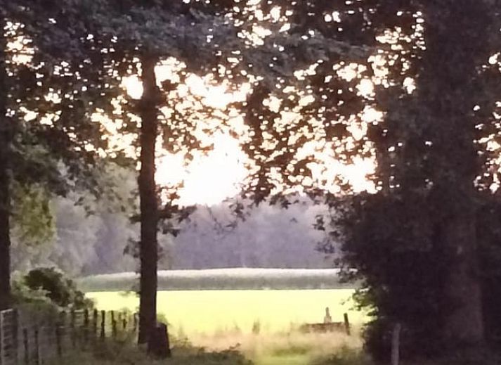 Lush garden of Holiday Home in Lochem, idyllically located in the nature of the Achterhoek.