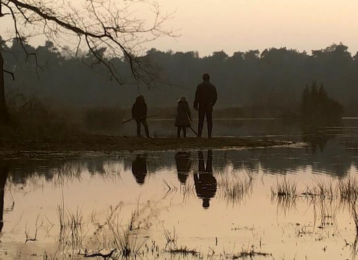 Lush garden of Holiday Home in Lochem, idyllically located in the nature of the Achterhoek.