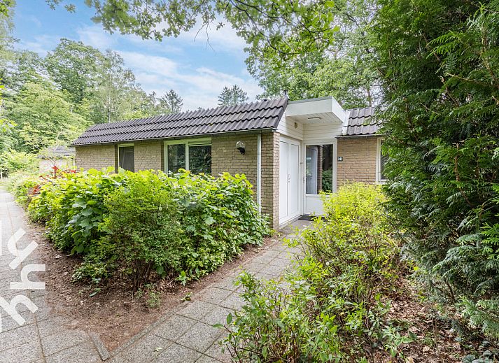 Kitchen of DG590 vacation home in Lochem, Achterhoek with modern appliances and views of nature.