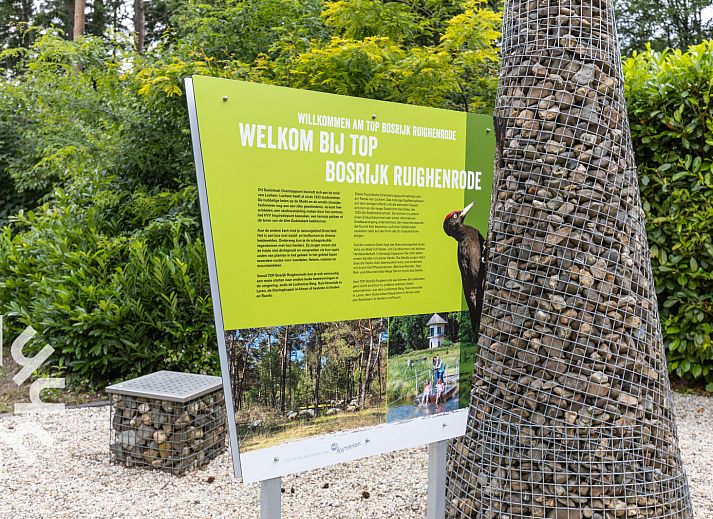 Second bedroom in DG590 vacation home in Lochem, Achterhoek with cozy interior.