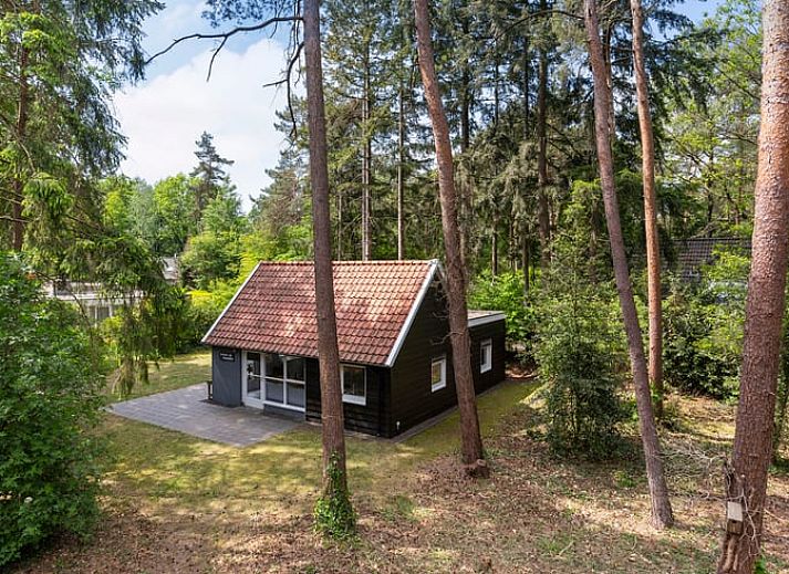 Cottage in Lochem mit gemuetlicher Veranda, Ferienhaus in Achterhoek, Gelderland.