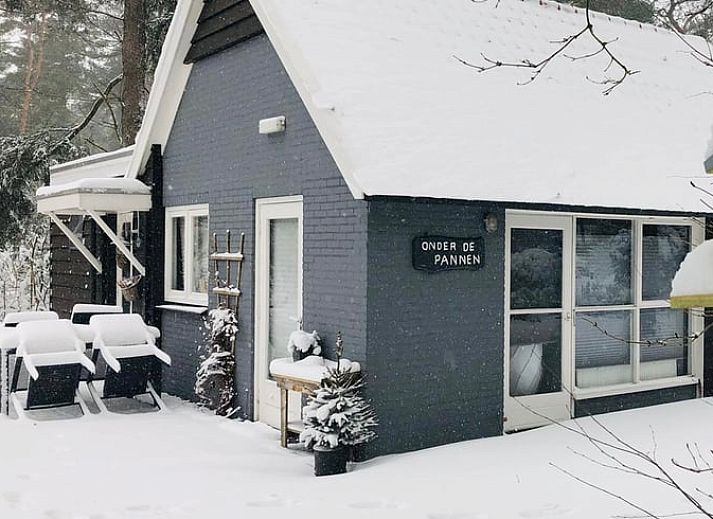 Cottage in Lochem mit gemuetlicher Veranda, Ferienhaus in Achterhoek, Gelderland.