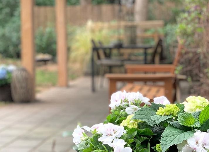 Rustikales Ferienhaus in Lochem, umgeben von waldreicher Natur in der Achterhoek.