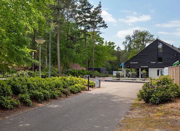 Cottage in Lochem mit gruenem Garten und Eichhoernchen, Ferienhaus in Gelderland.